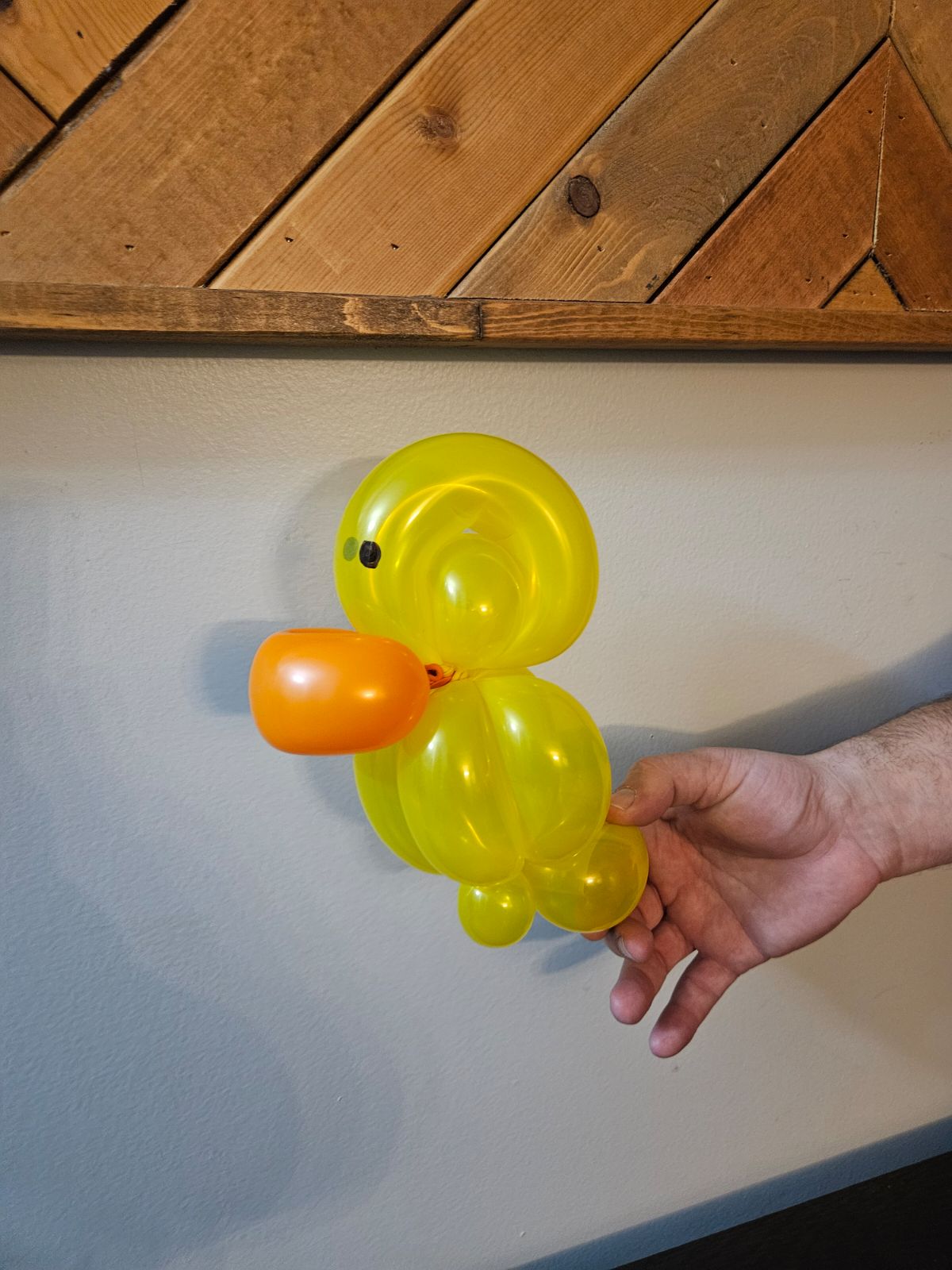 balloon ducky